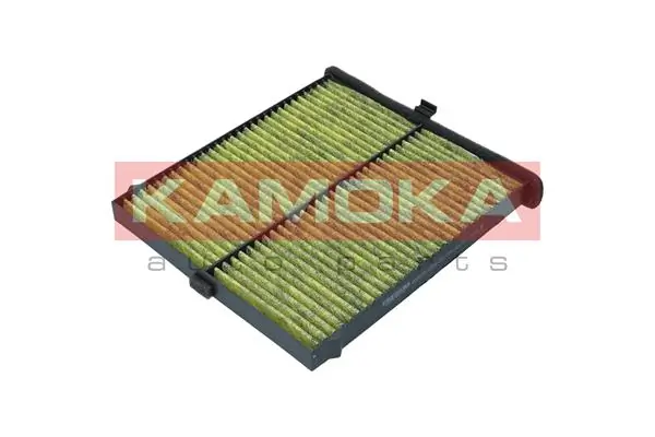 Filter, cabin air 6080096