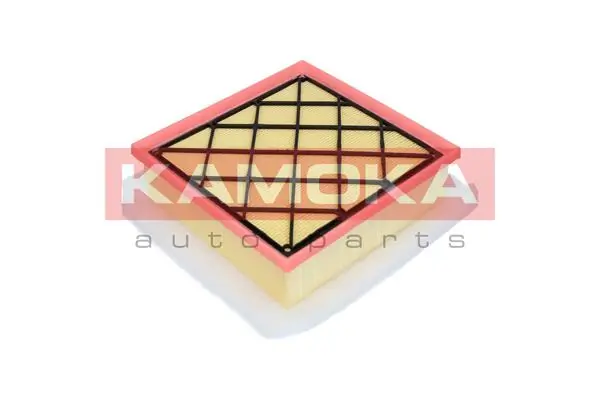 Air Filter F222301