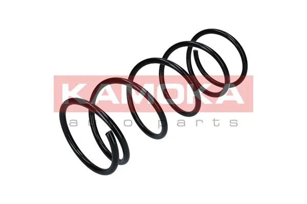 Suspension Spring 2110159