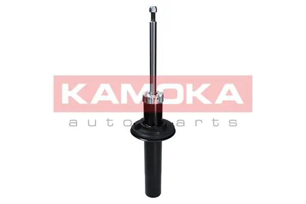 Shock Absorber 2000647