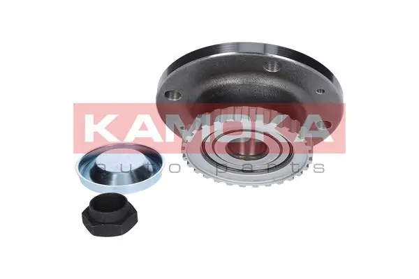 Wheel Bearing Kit 5500006