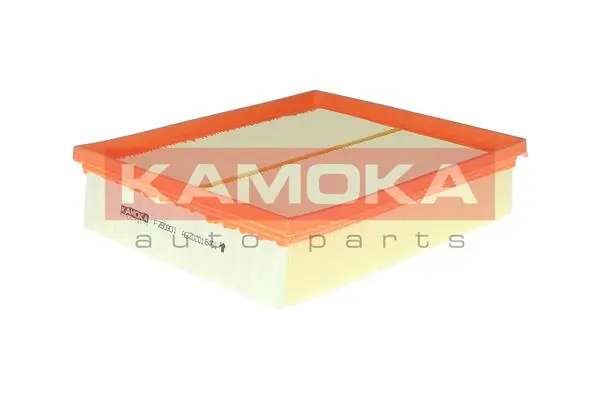 Air Filter F260901