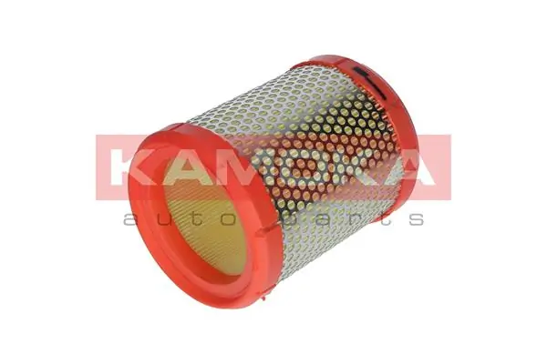 Air Filter F204501