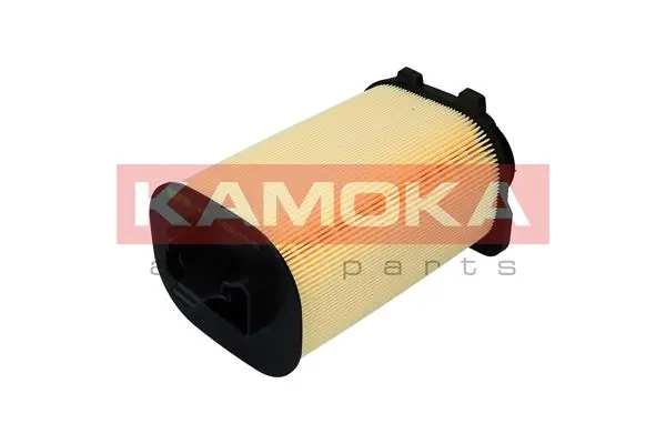 Air Filter F242501