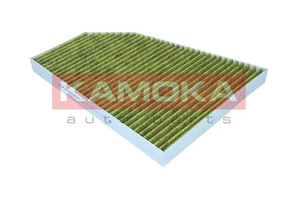 Filter, cabin air 6080174