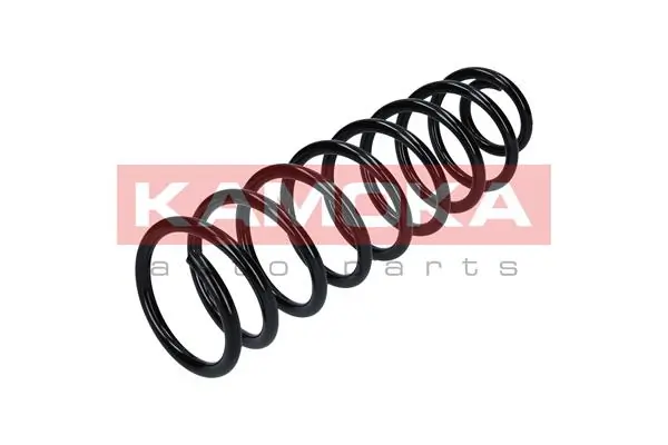 Suspension Spring 2120079