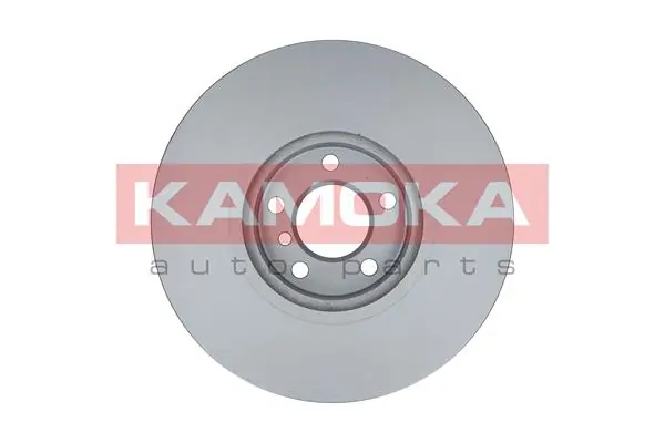 Brake Disc 103300