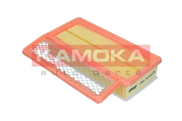 Air Filter F253001