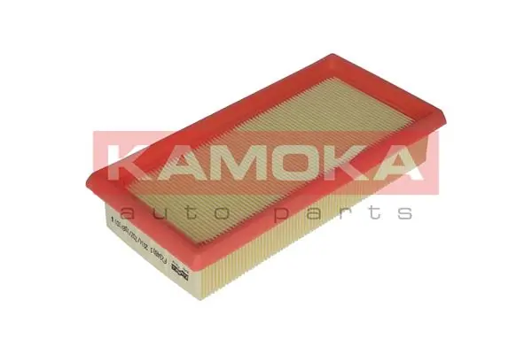 Air Filter F234601