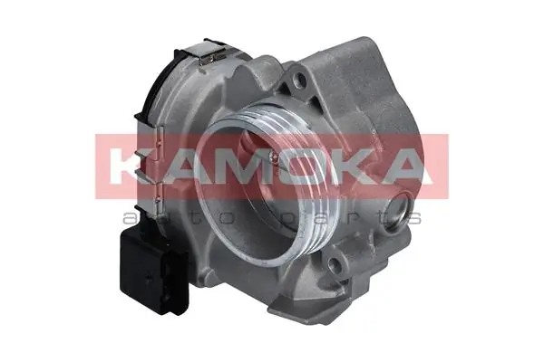 Throttle Body 112020