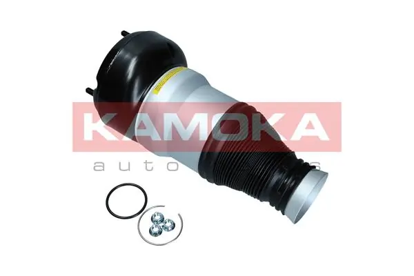 Air Spring, suspension 2079056