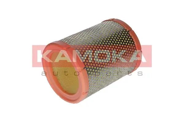Air Filter F213701