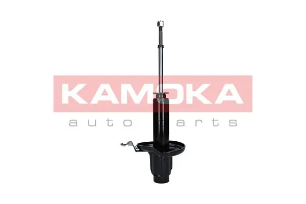 Shock Absorber 2000699
