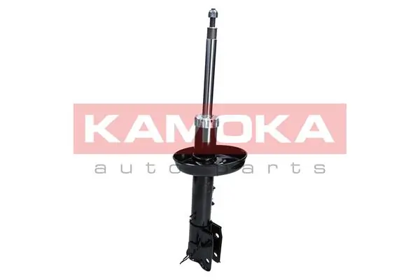 Shock Absorber 2000175