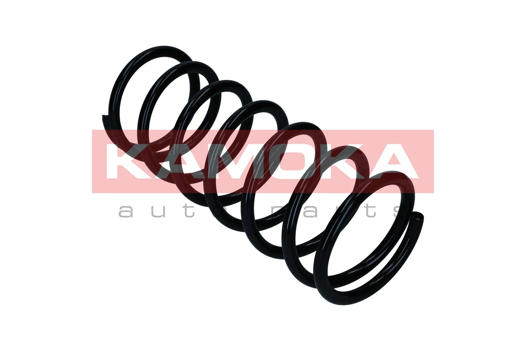 Suspension Spring 2110744