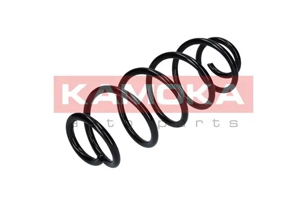 Suspension Spring 2120277