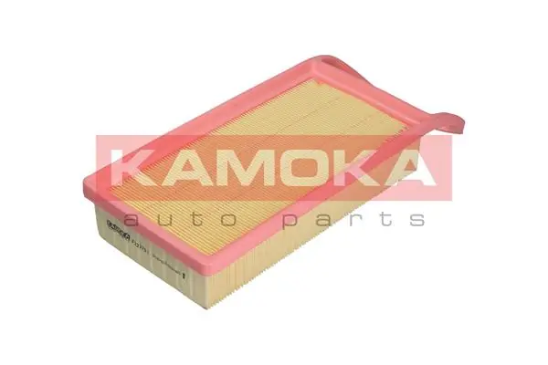Air Filter F220001