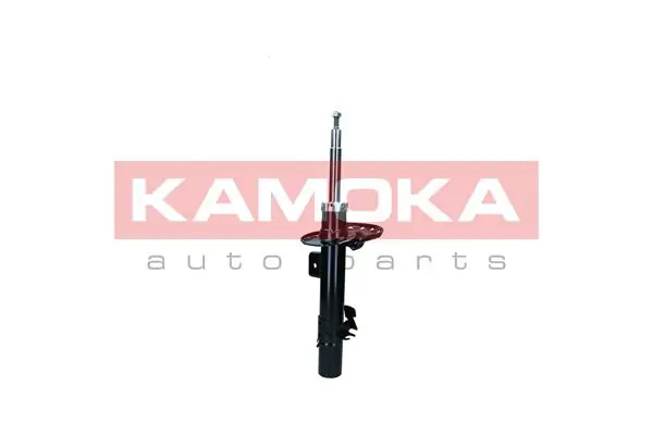 Shock Absorber 2001286