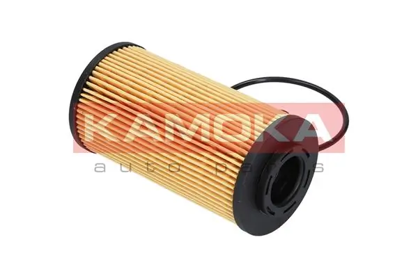 Oil Filter F111001