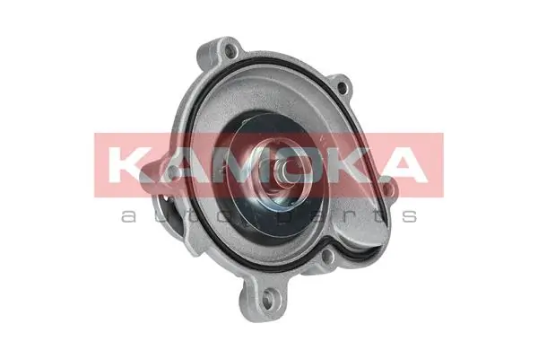 Water Pump, engine cooling T0194