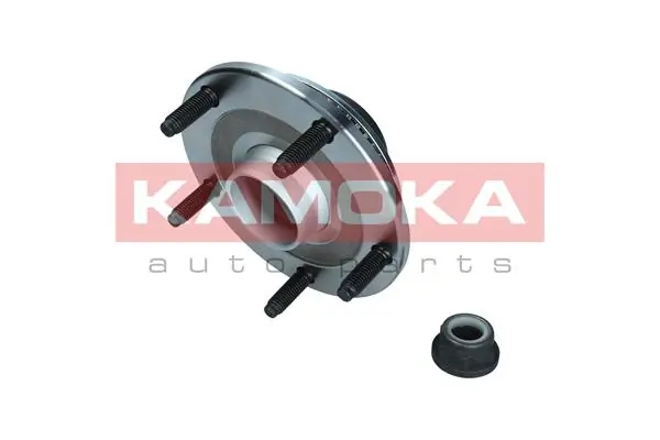 Wheel Bearing Kit 5500253