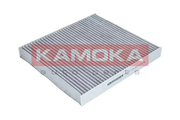 Filter, cabin air F509601