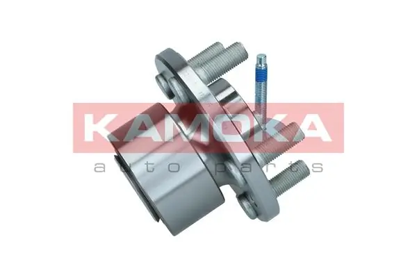 Wheel Bearing Kit 5500244