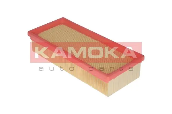 Air Filter F209601