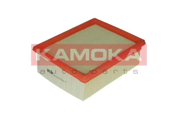 Air Filter F209001
