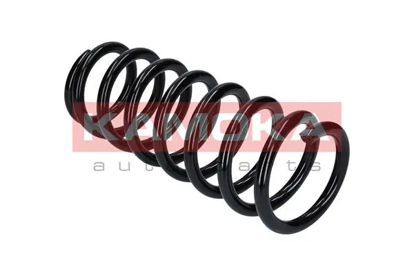 Suspension Spring 2120110