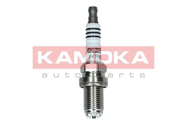 Spark Plug 7100505