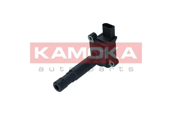 Ignition Coil 7120091