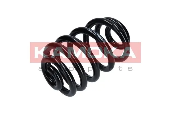 Suspension Spring 2120274