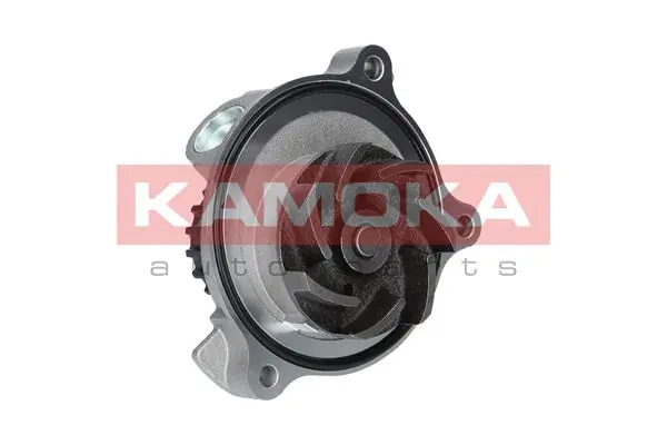 Water Pump, engine cooling T0271