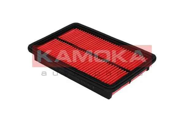 Air Filter F205901