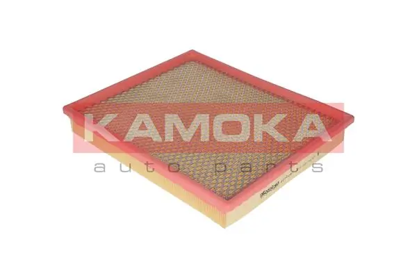 Air Filter F212001
