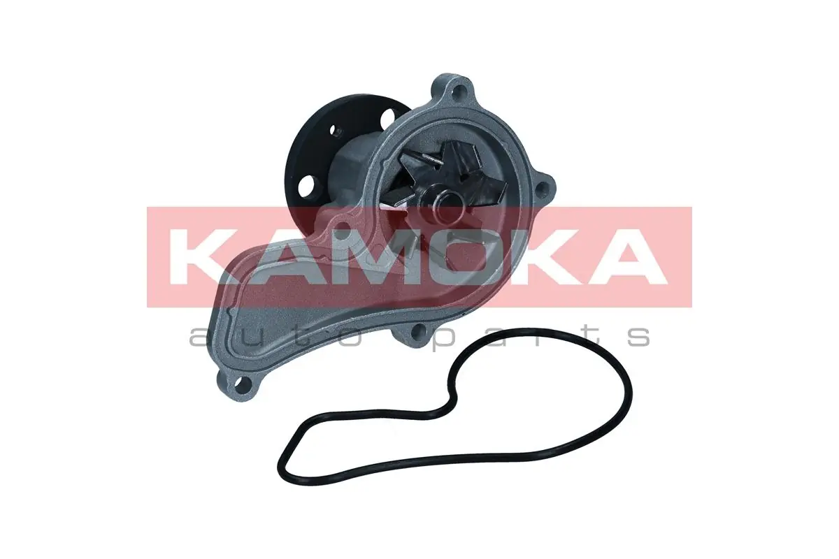 Water Pump, engine cooling T0314