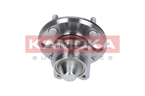 Wheel Bearing Kit 5500075