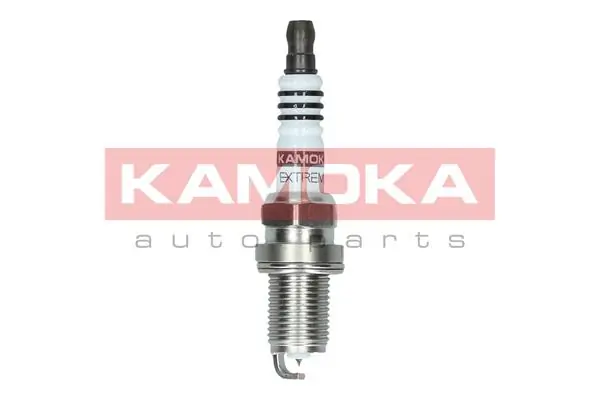Spark Plug 7100034