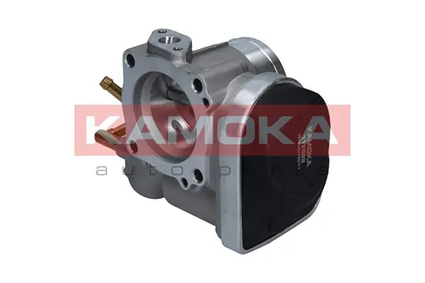 Throttle Body 112008