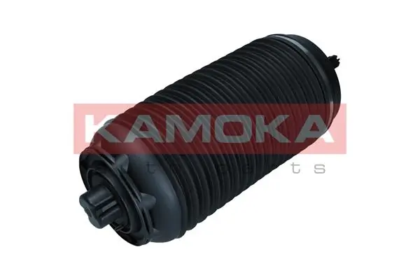 Air Spring, suspension 2079062