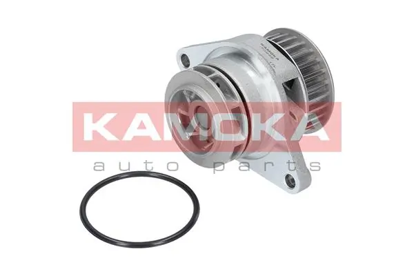 Water Pump, engine cooling T0249