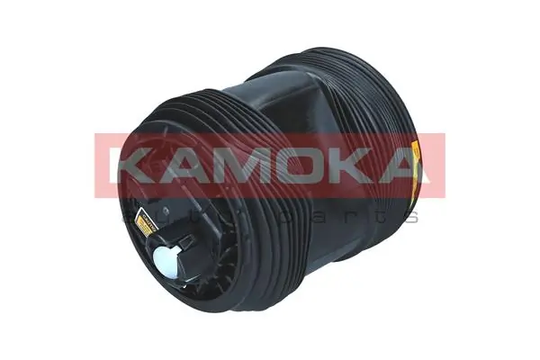 Air Spring, suspension 2079072