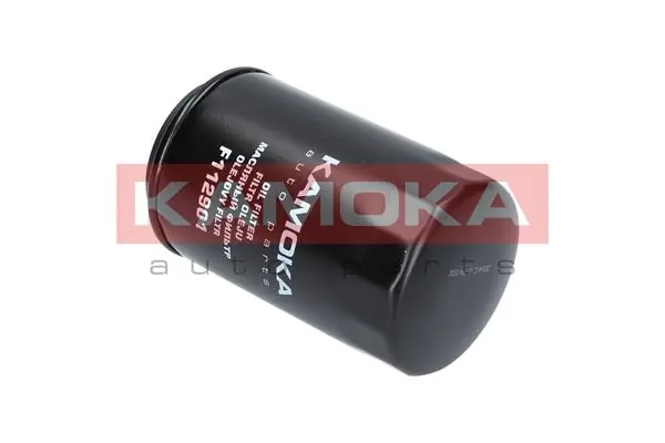 Oil Filter F107801