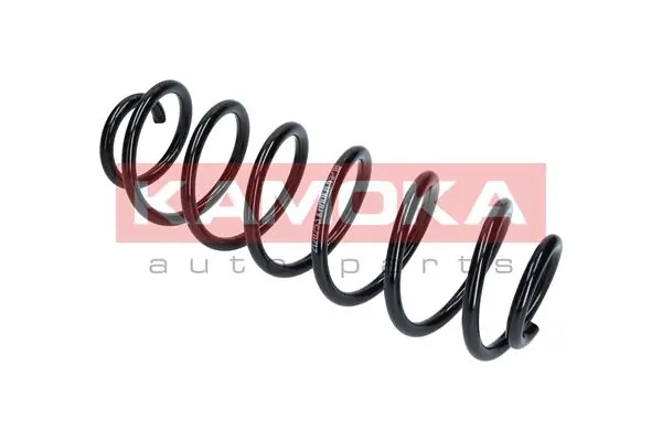 Suspension Spring 2120253