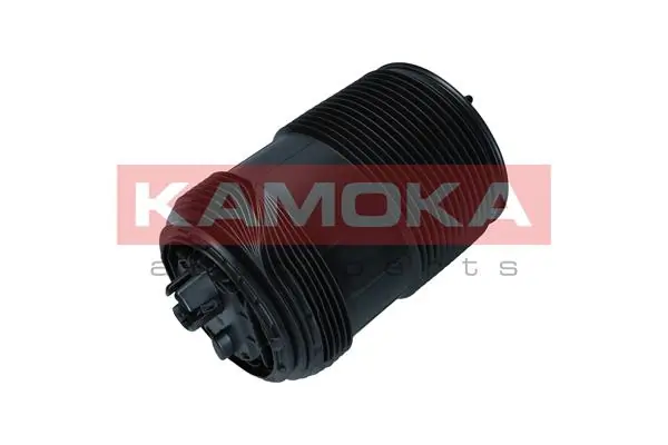 Air Spring, suspension 2079014