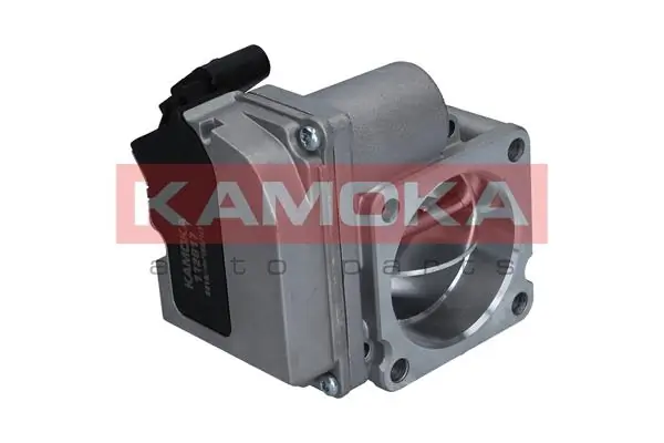 Throttle Body 112017