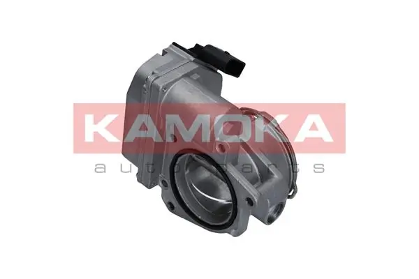 Throttle Body 112011