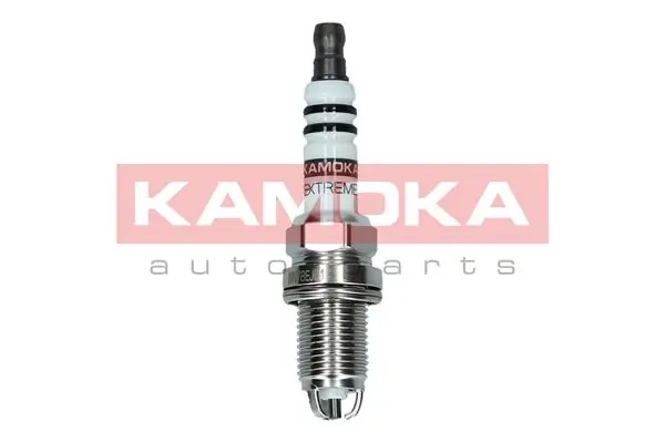 Spark Plug 7100507