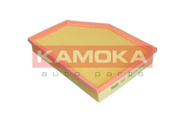 Air Filter F250601